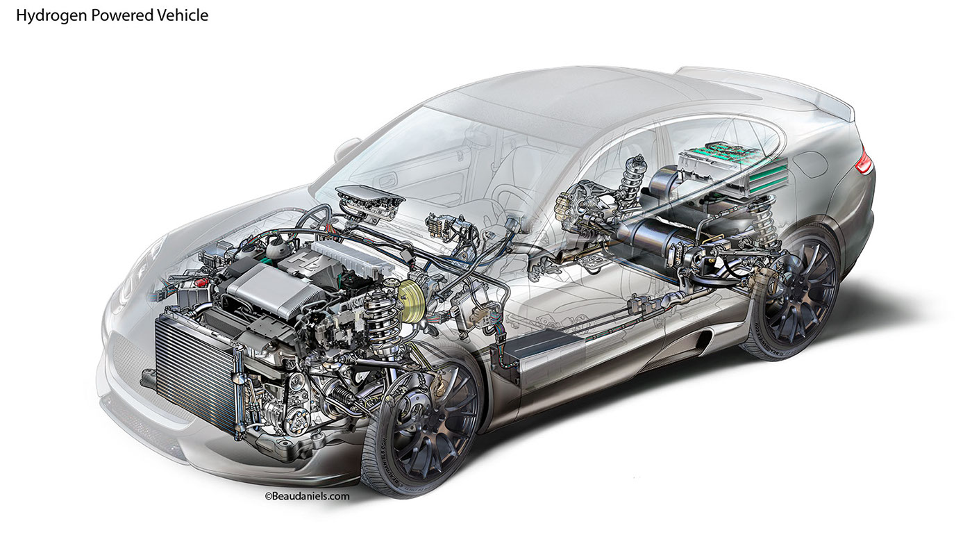 anatomical drawing，automobile，system，