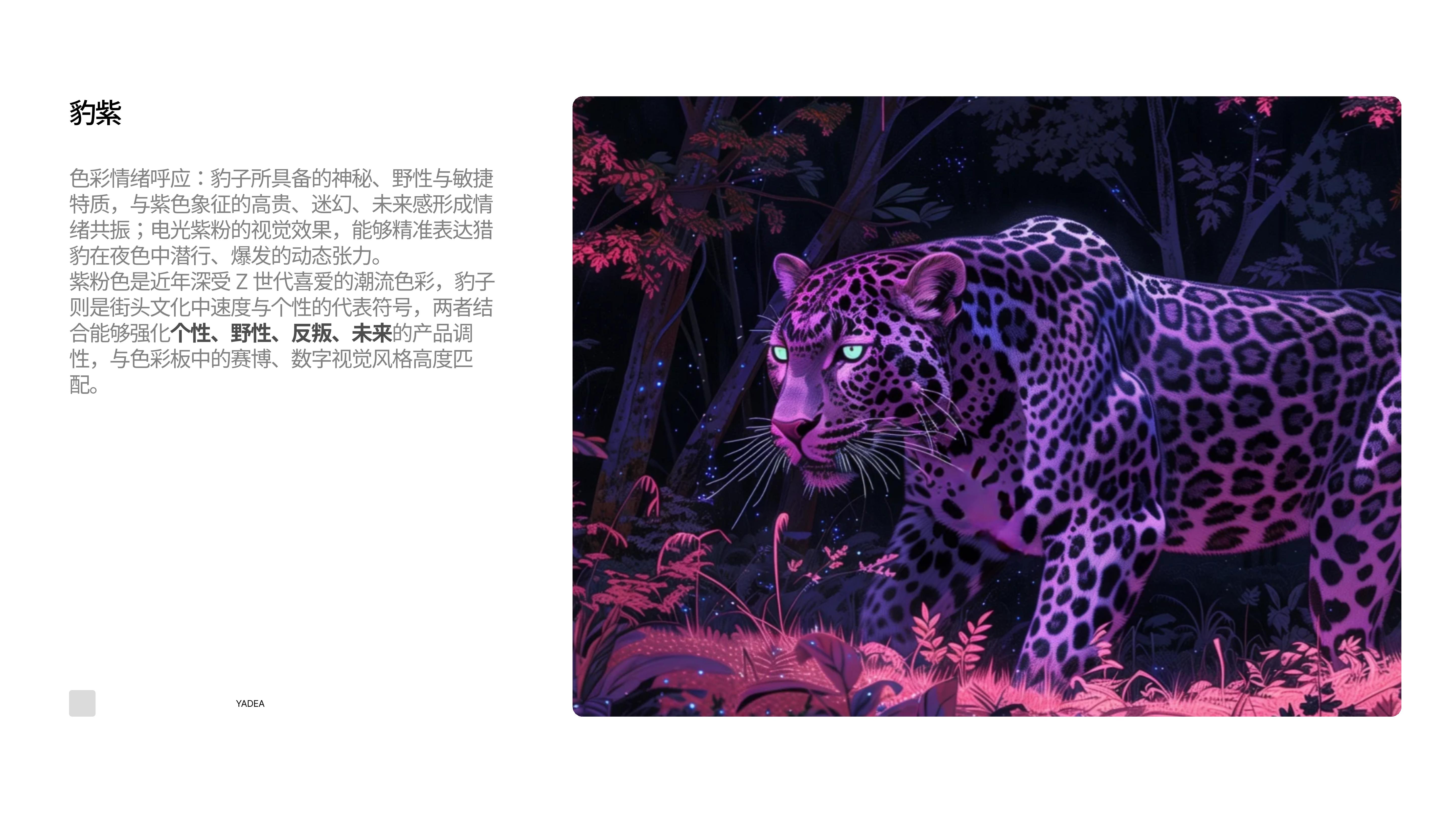 CMF design，Electric vehicle design，vehicle，color，workmanship，