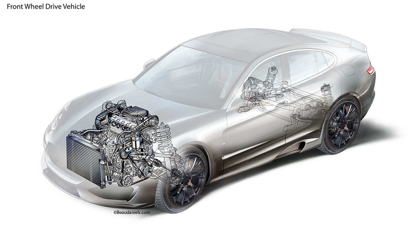 anatomical drawing，automobile，system，