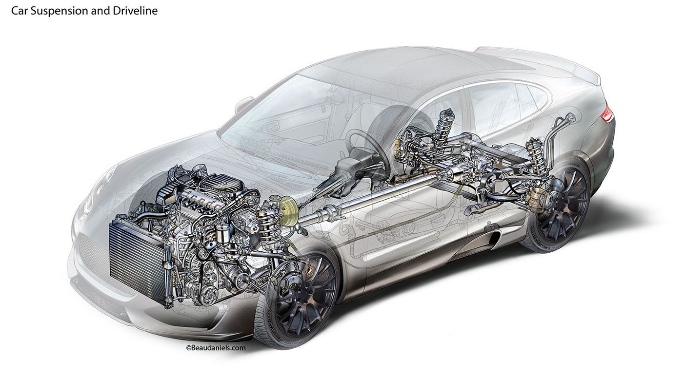 anatomical drawing，automobile，system，
