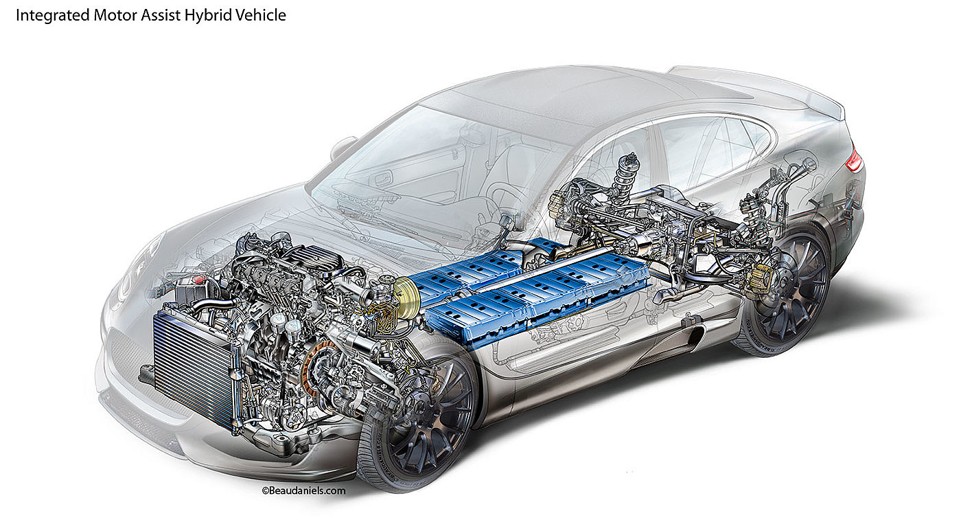 anatomical drawing，automobile，system，