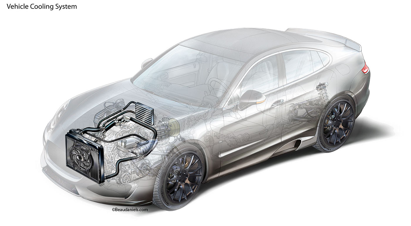 anatomical drawing，automobile，system，