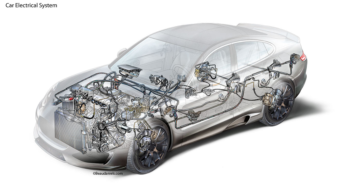 anatomical drawing，automobile，system，