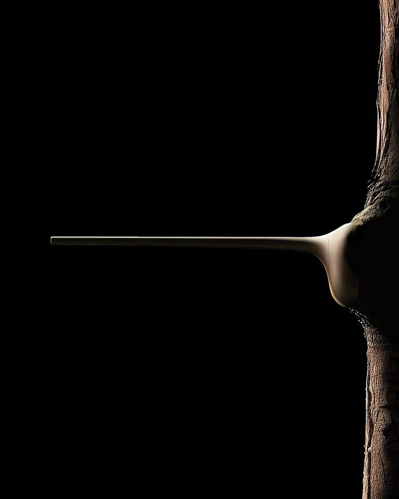 PerchCare，Smart bird perch，Digital，electronic product，