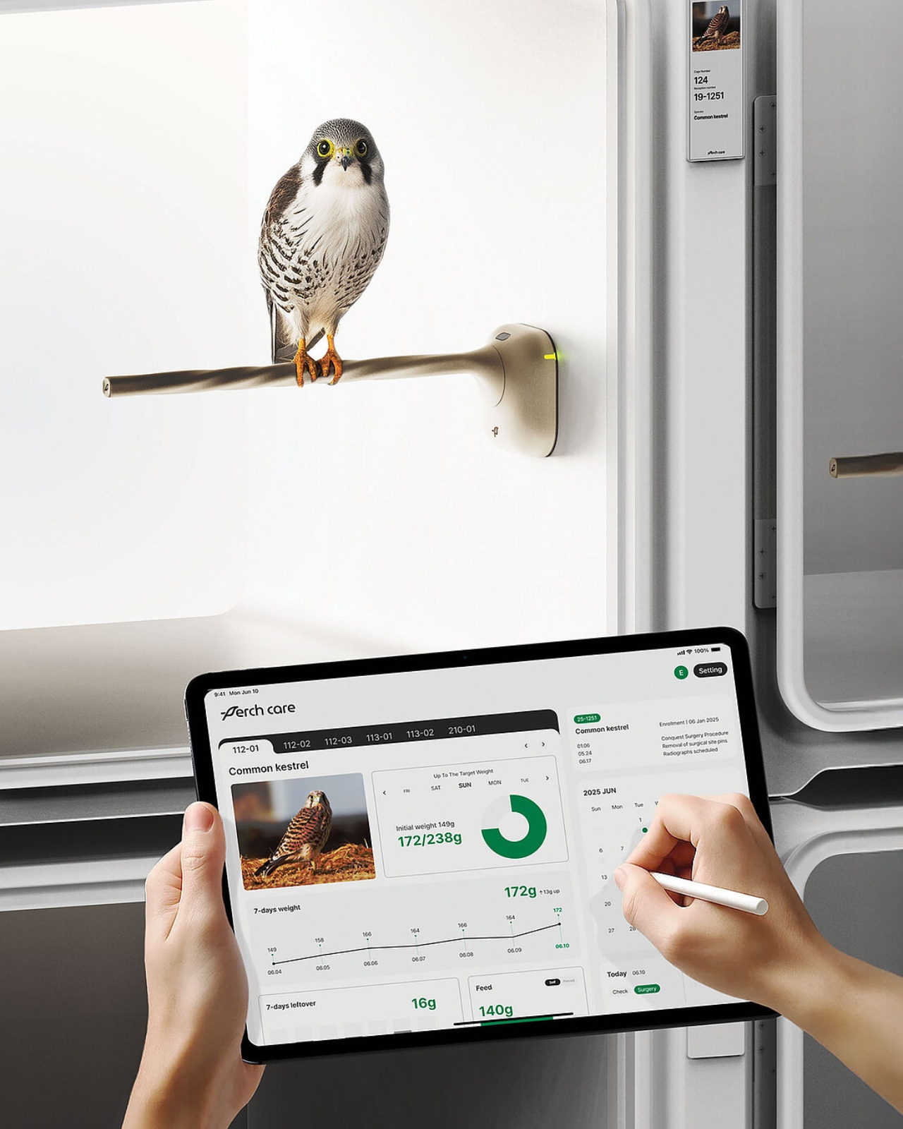 PerchCare，Smart bird perch，Digital，electronic product，