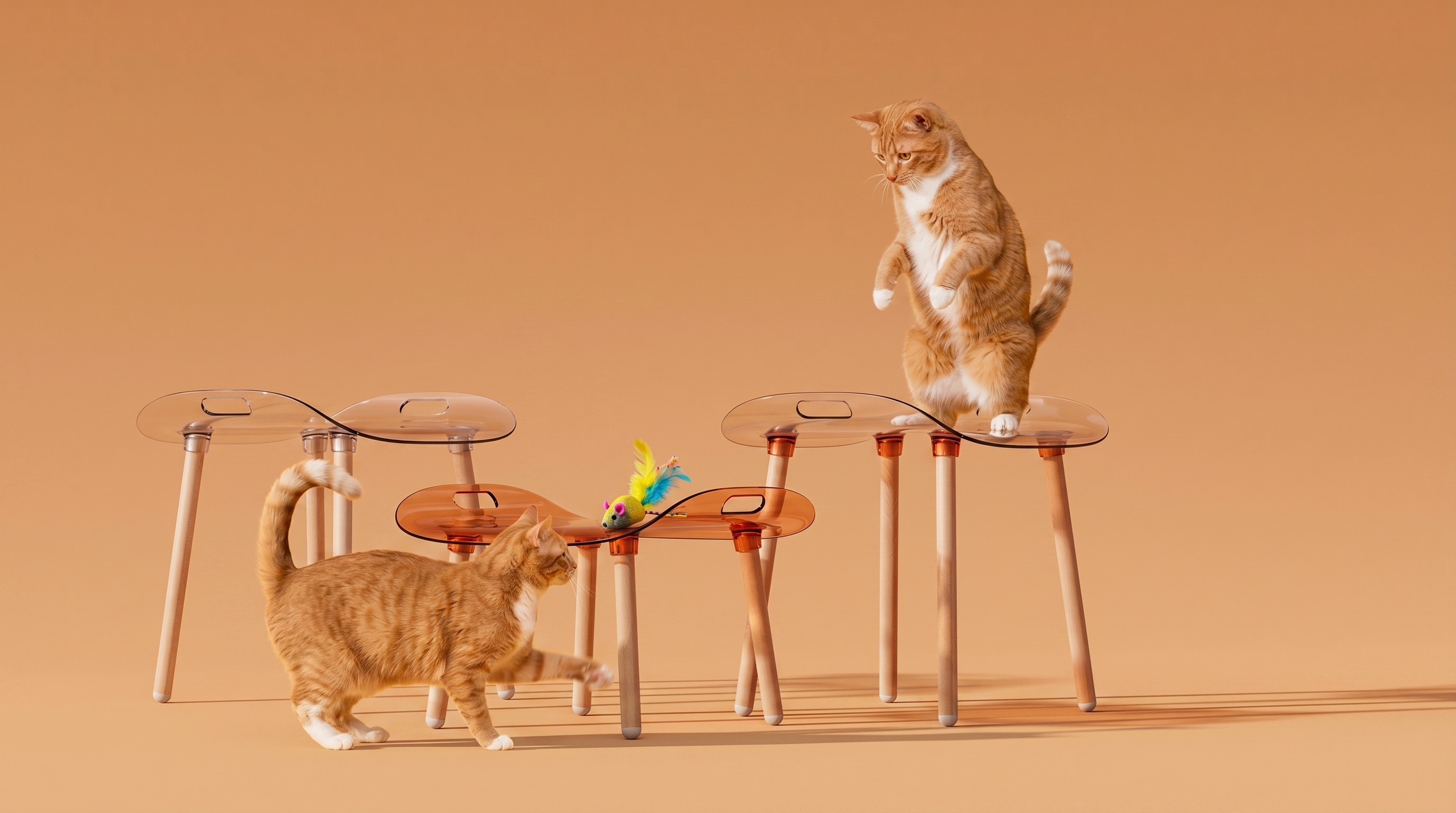 Calie Chair，Ergonomics，furniture，Household daily use，Acrylic，transparent，