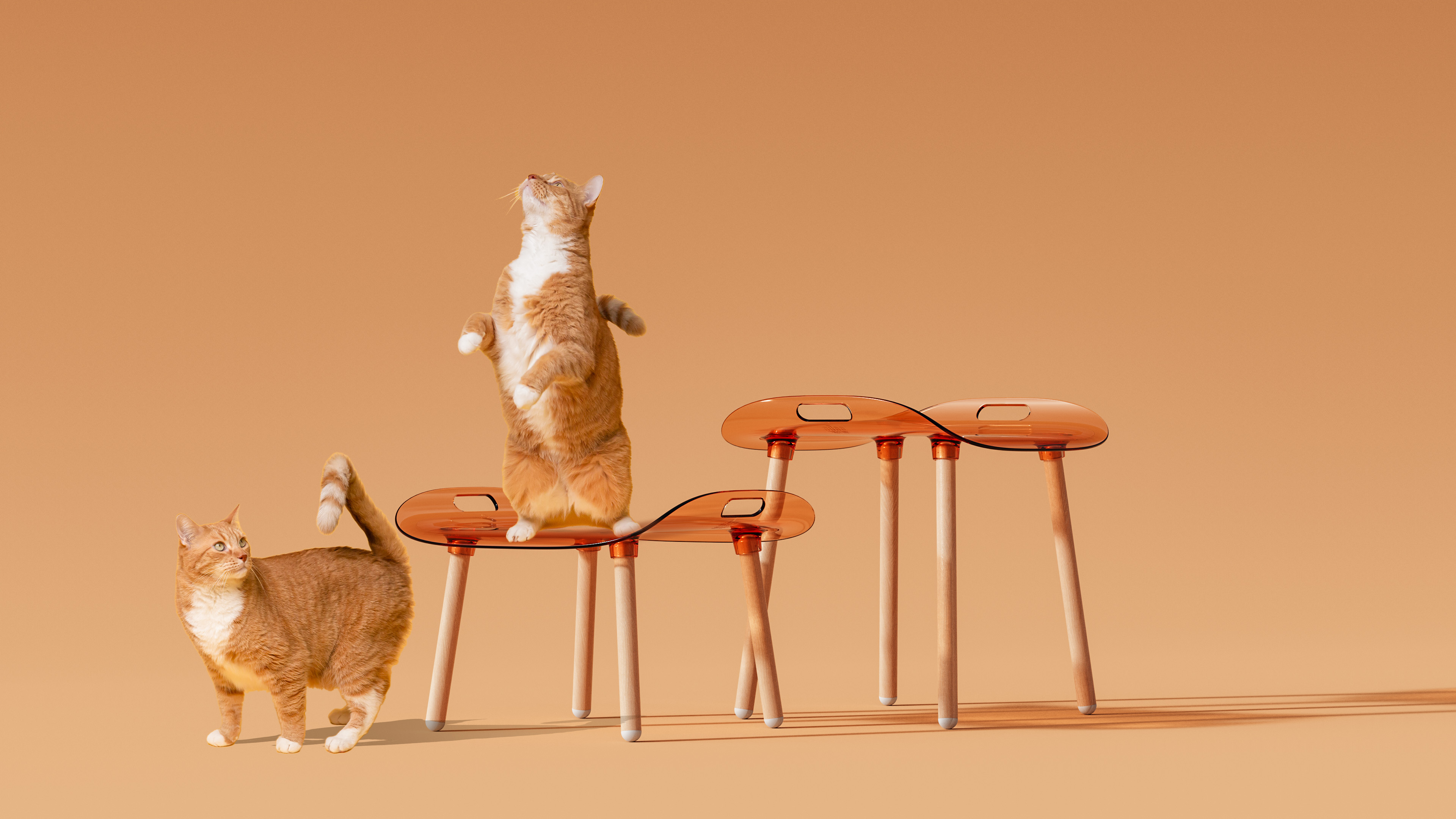 Calie Chair，Ergonomics，furniture，Household daily use，Acrylic，transparent，