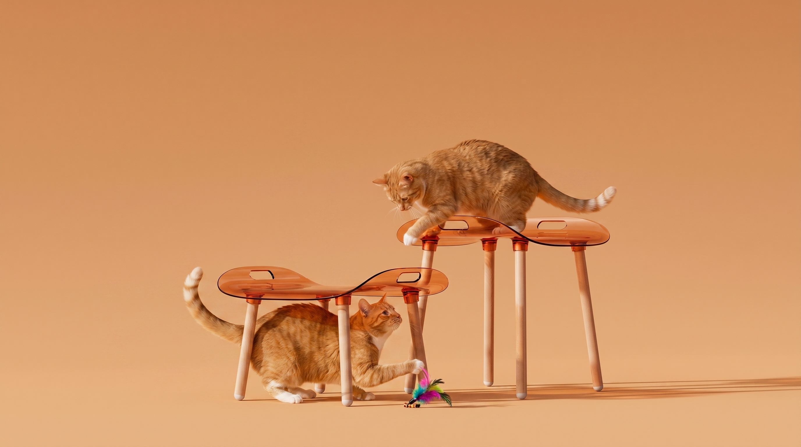 Calie Chair，Ergonomics，furniture，Household daily use，Acrylic，transparent，