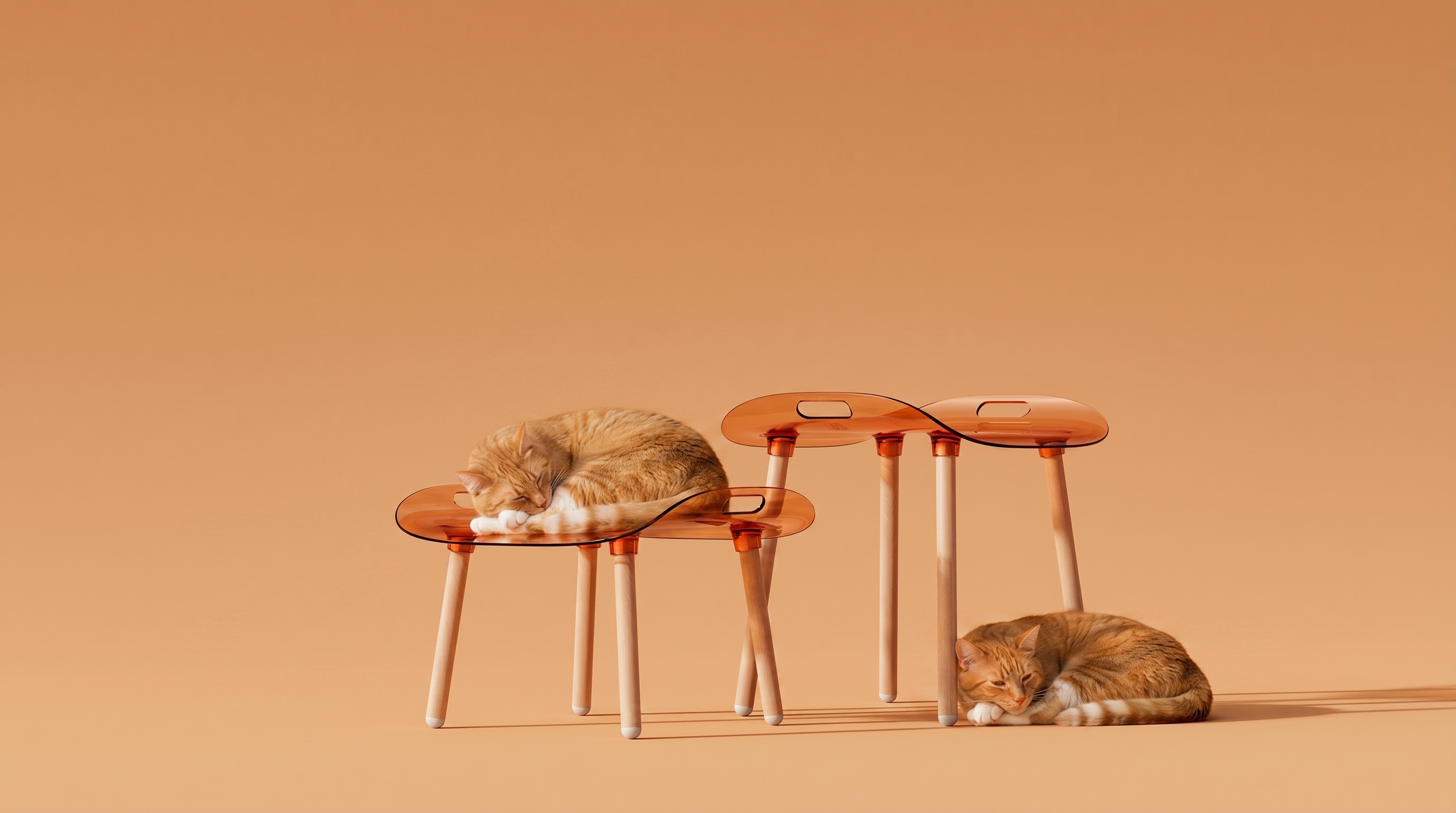 Calie Chair，Ergonomics，furniture，Household daily use，Acrylic，transparent，