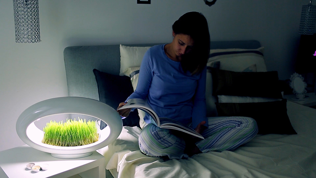 novel，lovely，green，dream，