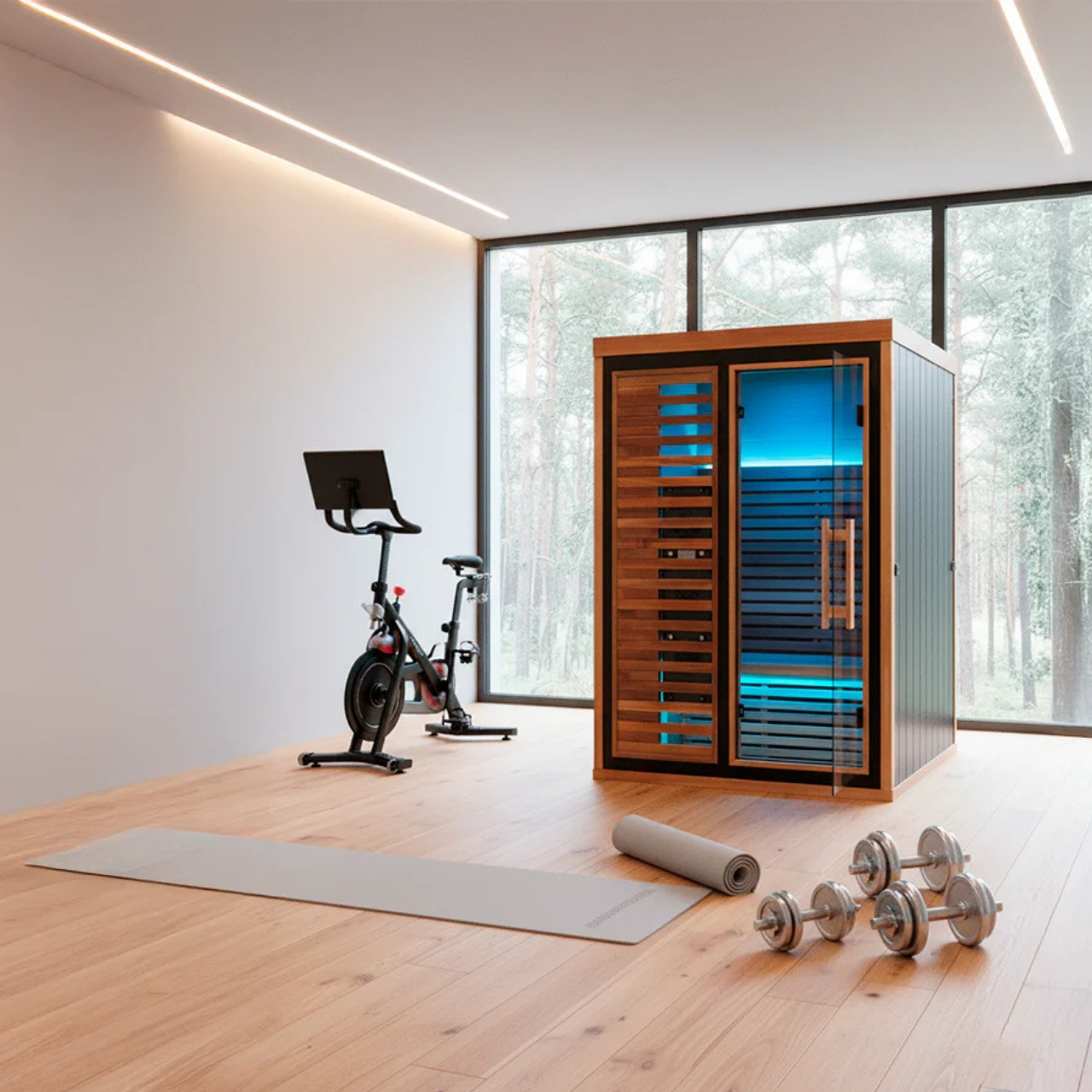 Peak Saunas，far infrared sauna room，environmental design，Interior design，