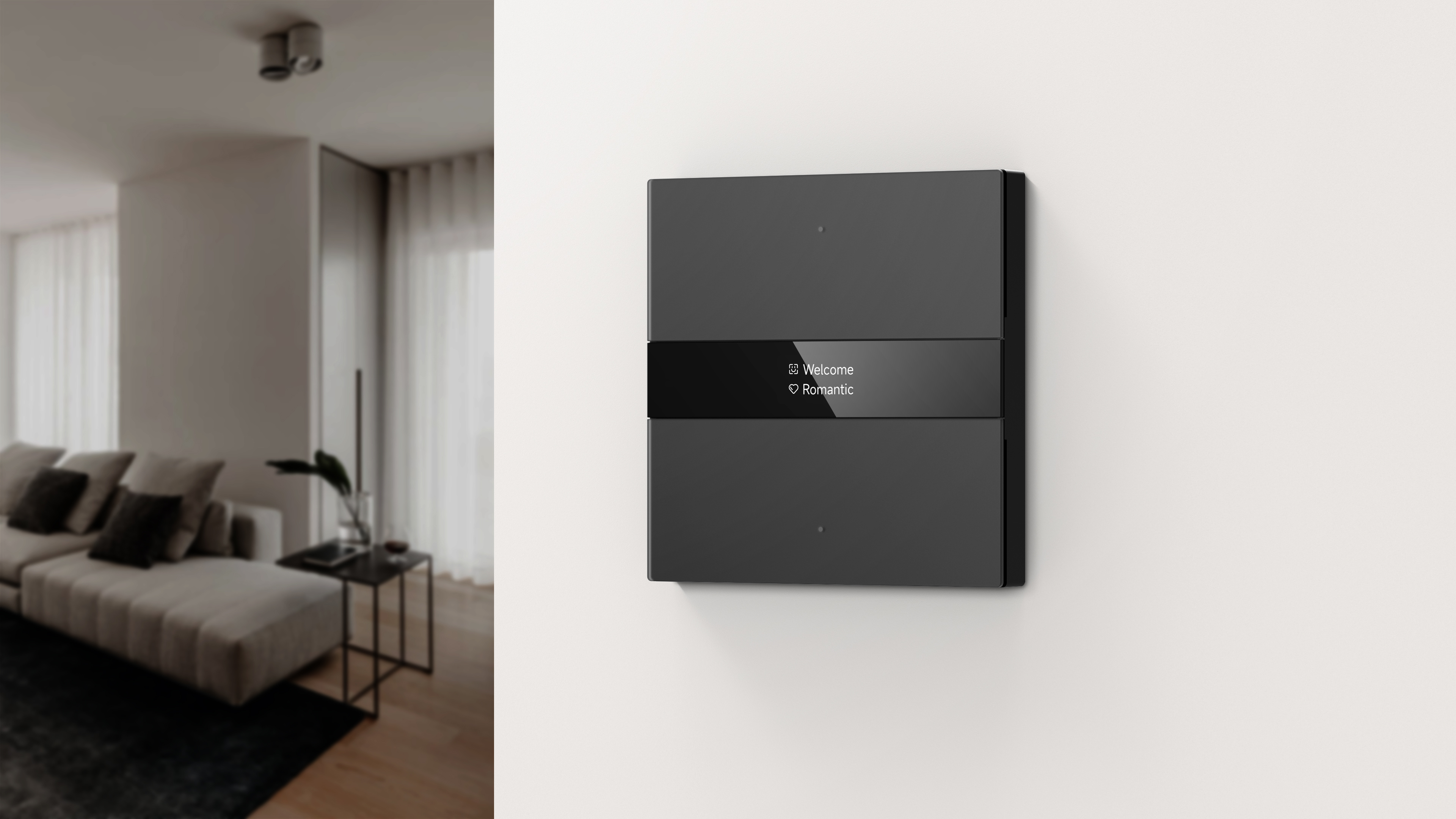 Smart home central control，Visual intercom，