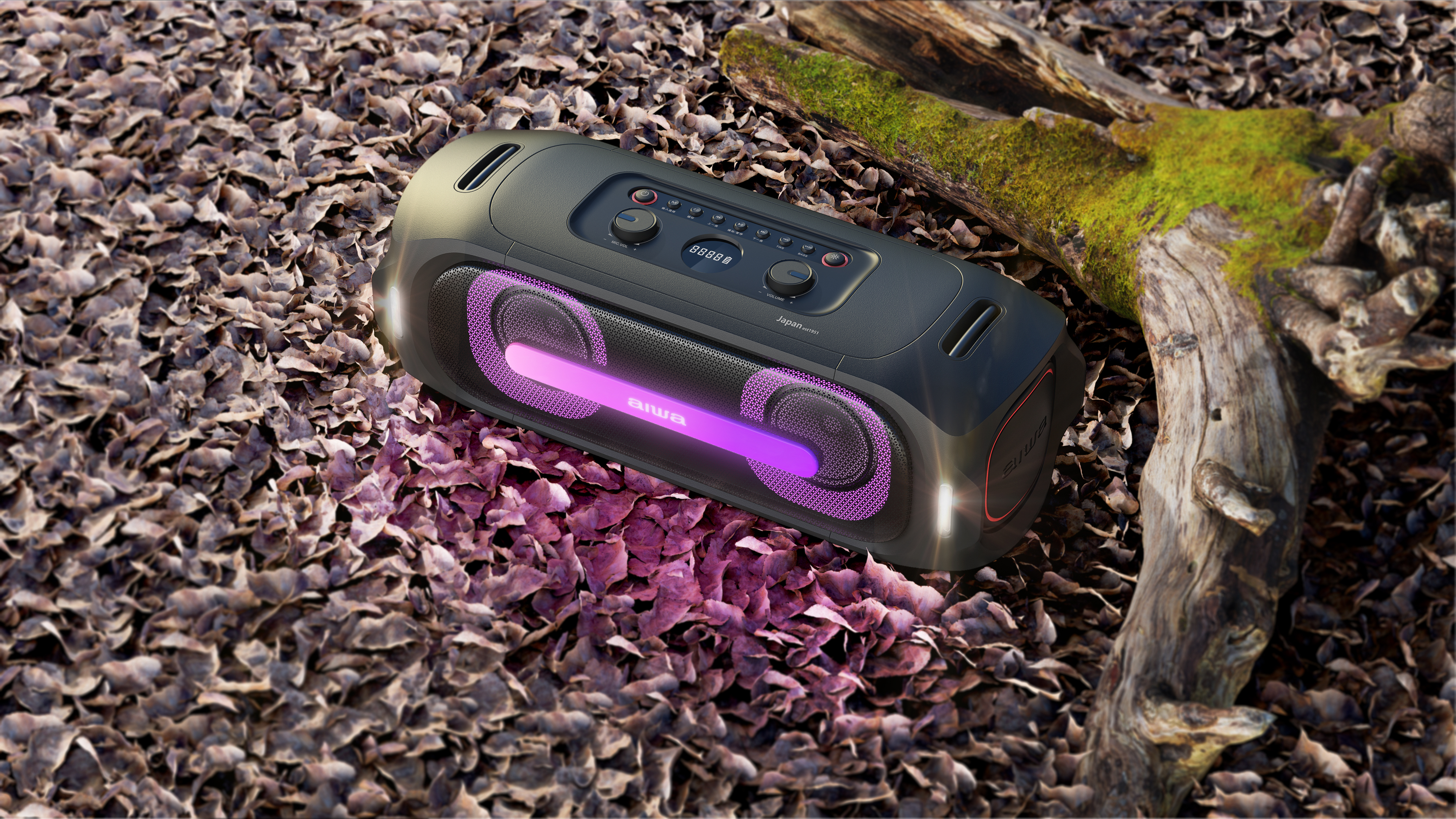 loudspeaker box，outdoors，Digital，aiwa，