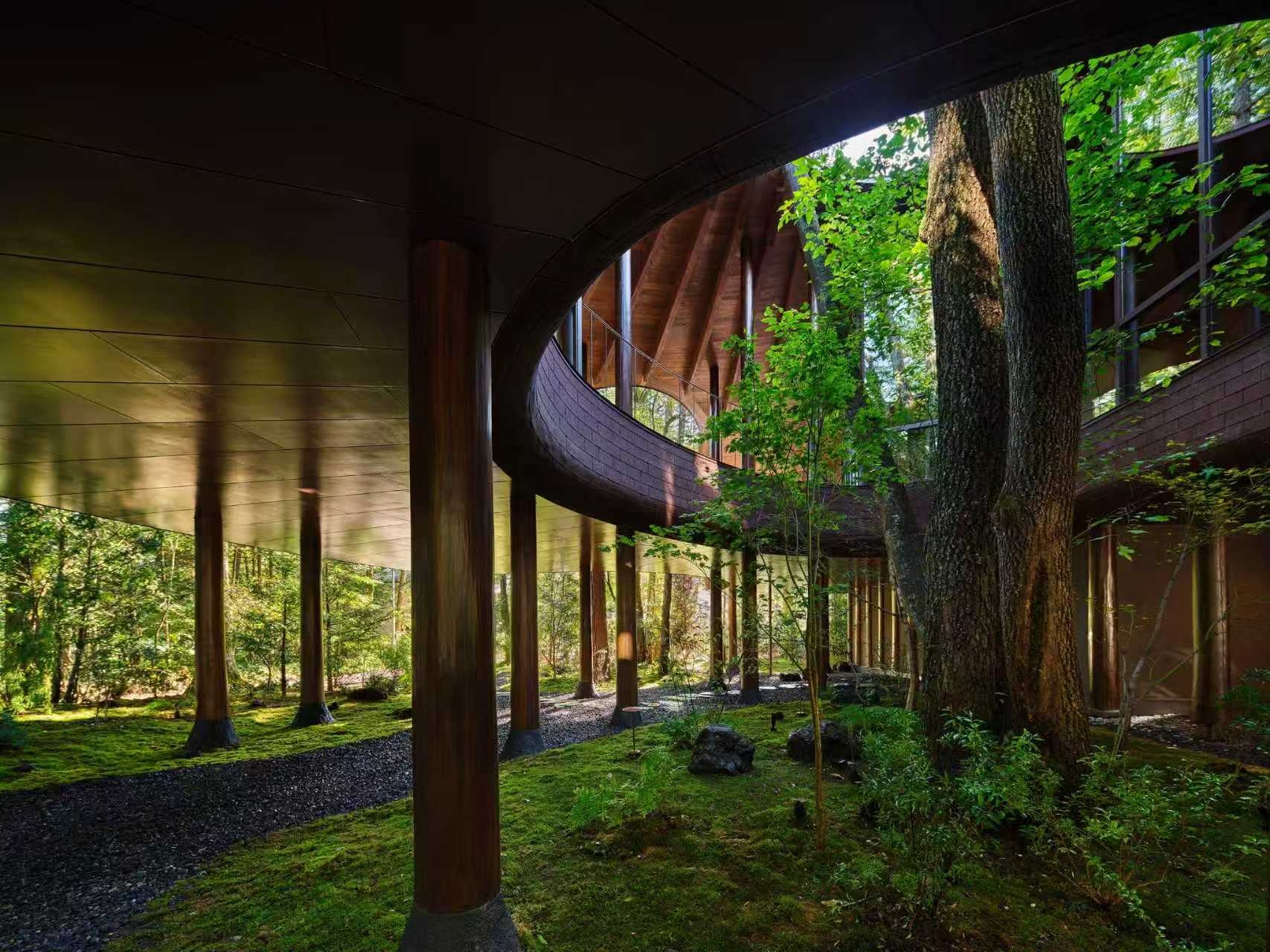 Zhejiang One Point，