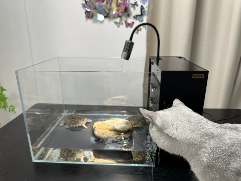 fish tank，Turtle Cylinder，Dry wet separation，Fish tank filtration，