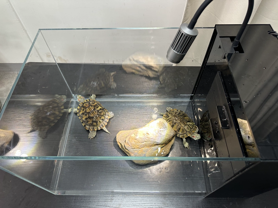 fish tank，Turtle Cylinder，Dry wet separation，Fish tank filtration，