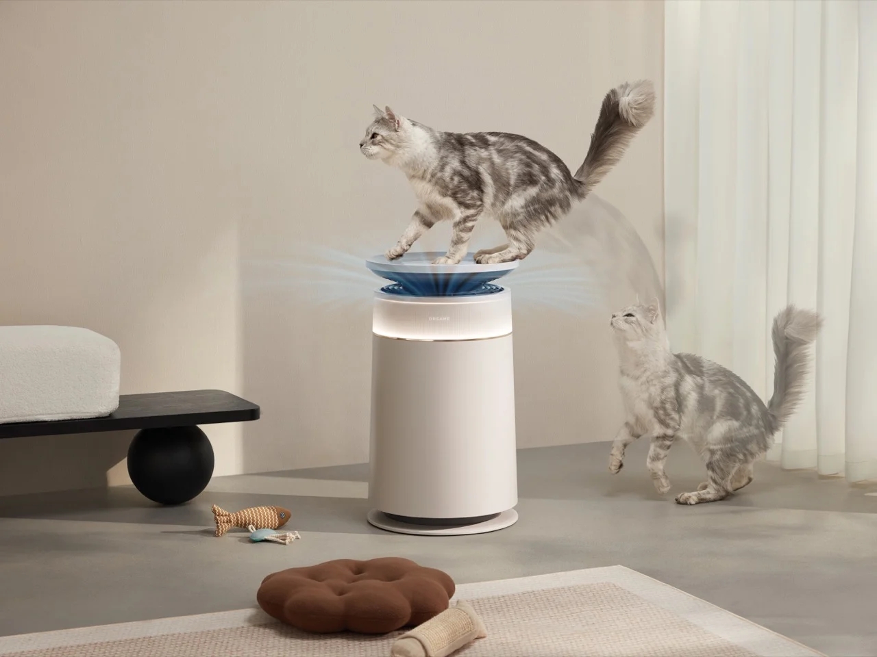 FP10，Pet Air Purifier，Household Electric Appliances，originality，