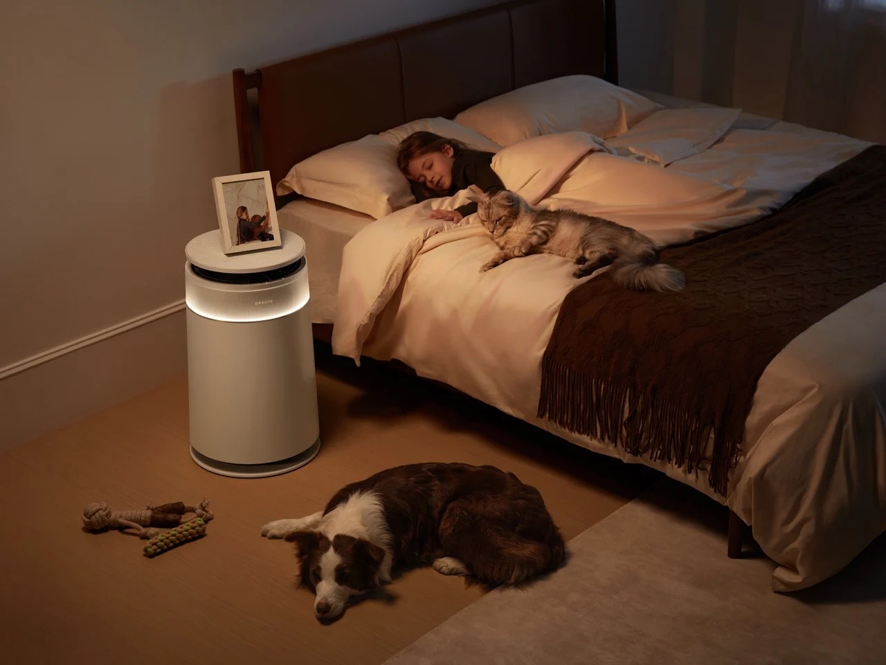 FP10，Pet Air Purifier，Household Electric Appliances，originality，