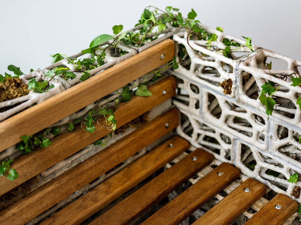 Plant Symbiosis Chair，Outdoor furniture，PhytoSymbiosis，originality，