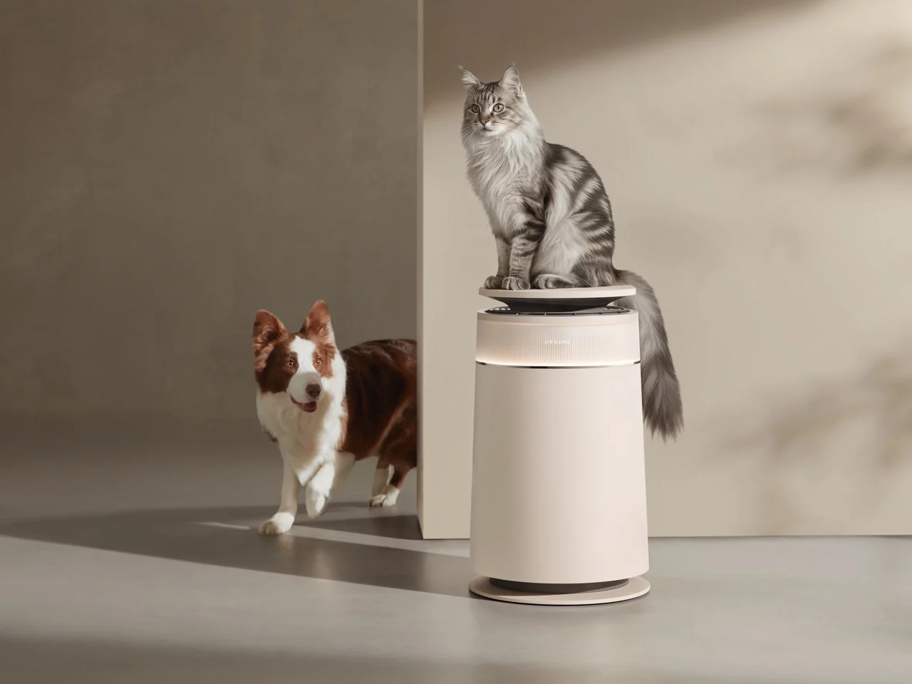 Pet Air Purifier，
