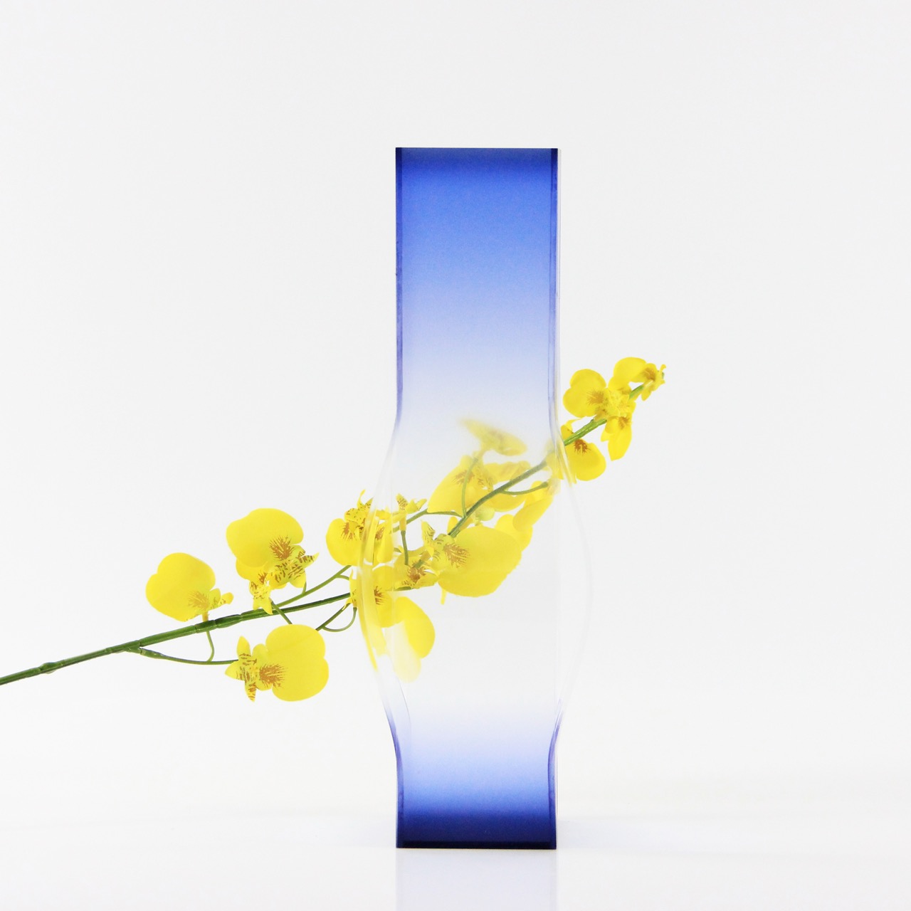 Stretch Color，vase，originality，Housewear & Furnishings，