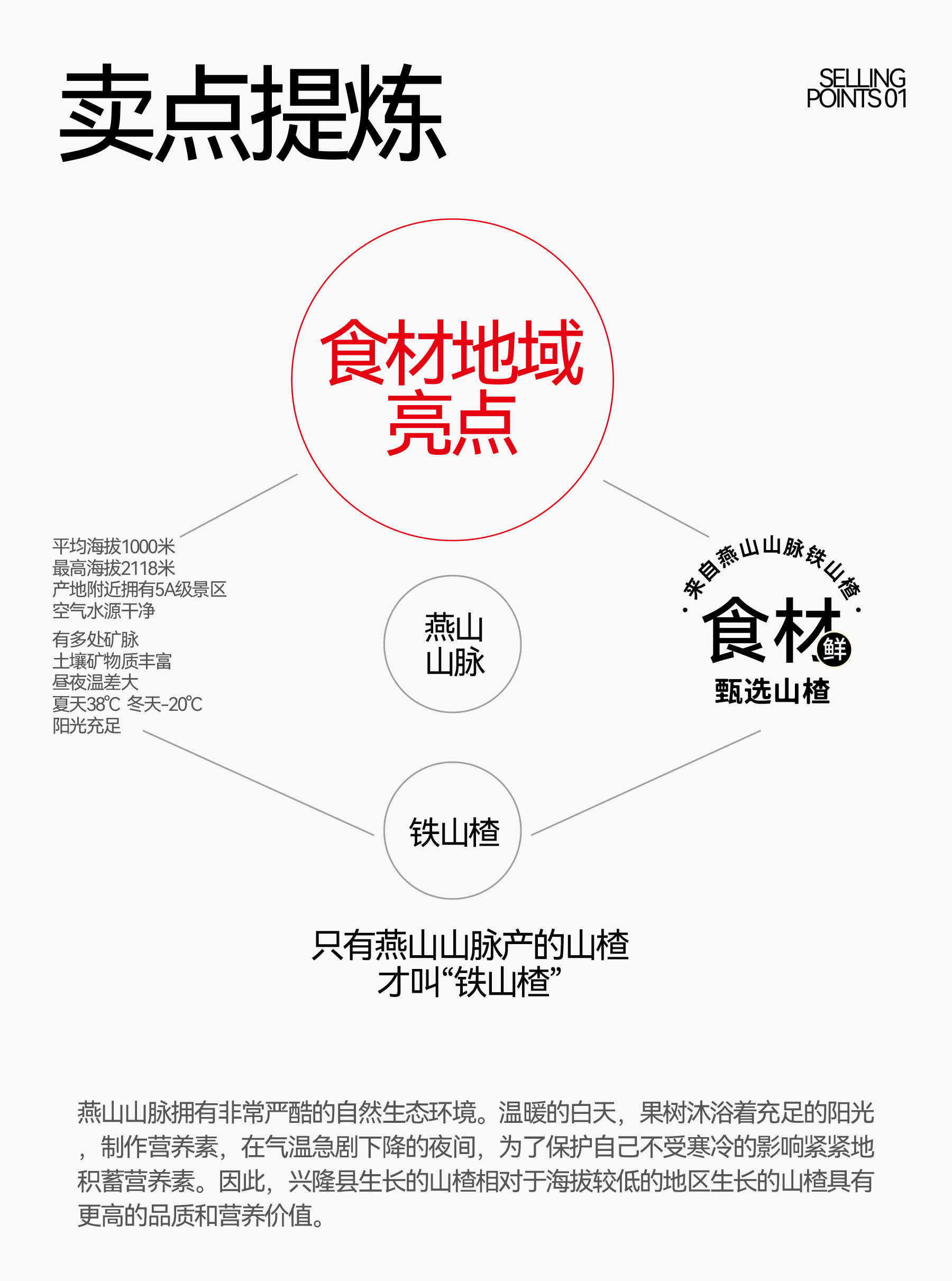 Brand design，Logo design，VI design，Brand symbol，Super Symbol，packing design，Brand visual system construction，Brand planning，