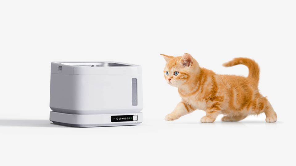 product design，Pet water dispenser，