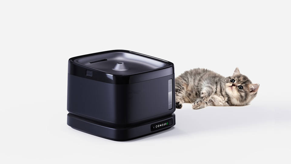 product design，Pet water dispenser，