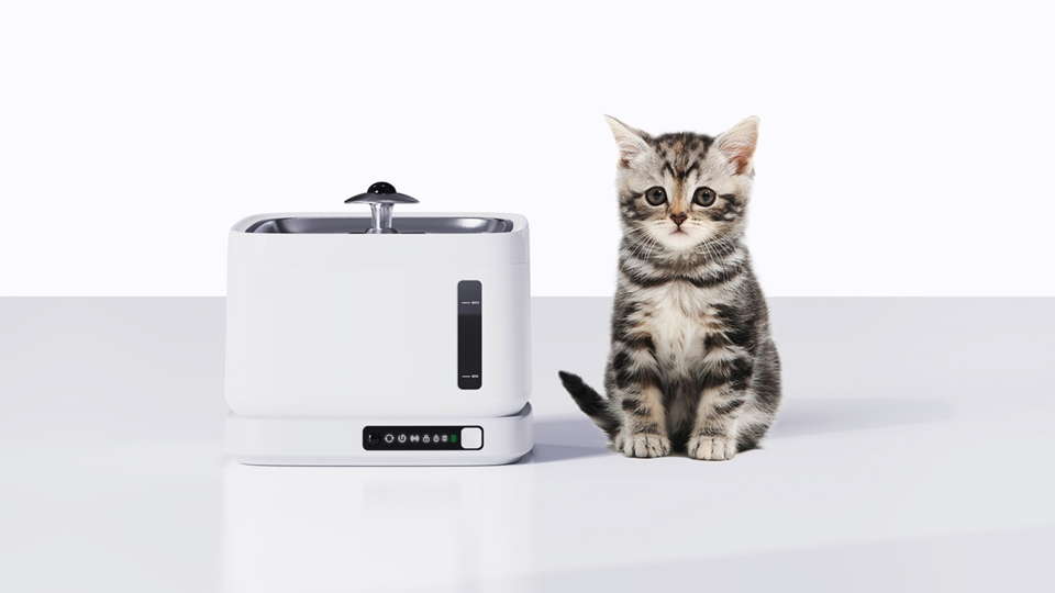 product design，Pet water dispenser，