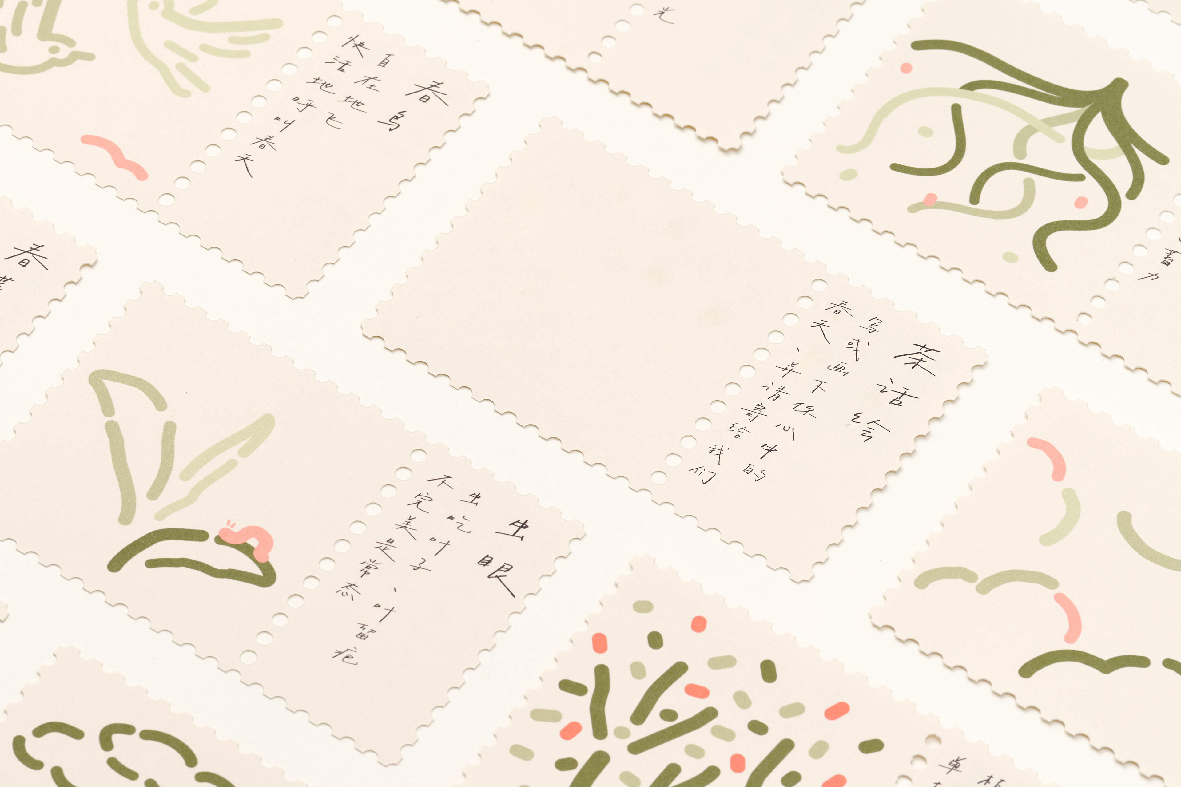 Spring tea，tea，Tea ceremony，Gift box，