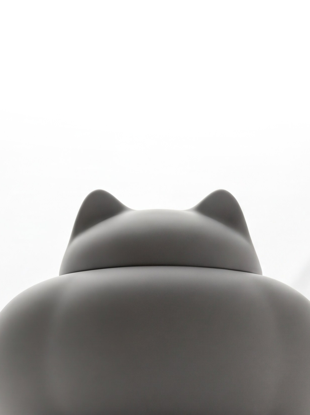 Pet urn，product design，Pet funeral services，Pet Souvenirs，Wild Hole，
