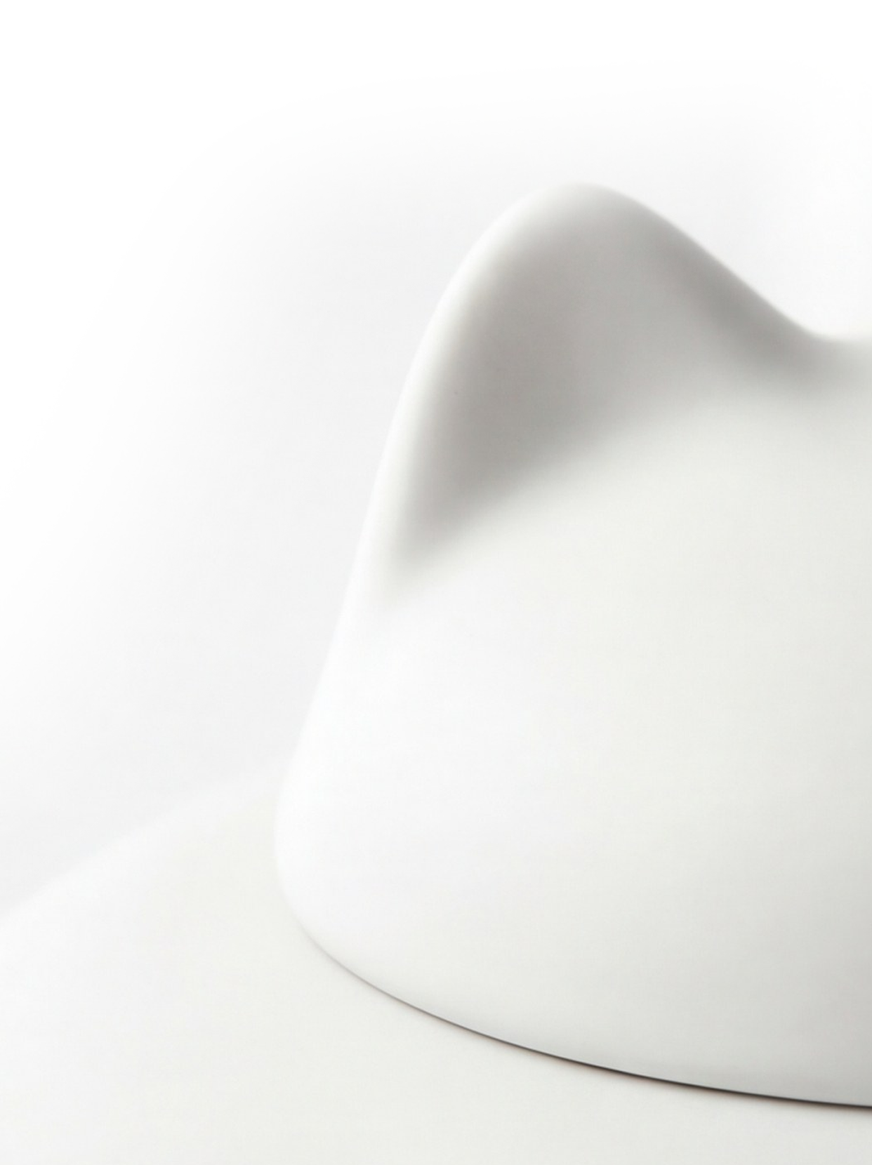 Pet urn，product design，Pet funeral services，Pet Souvenirs，Wild Hole，