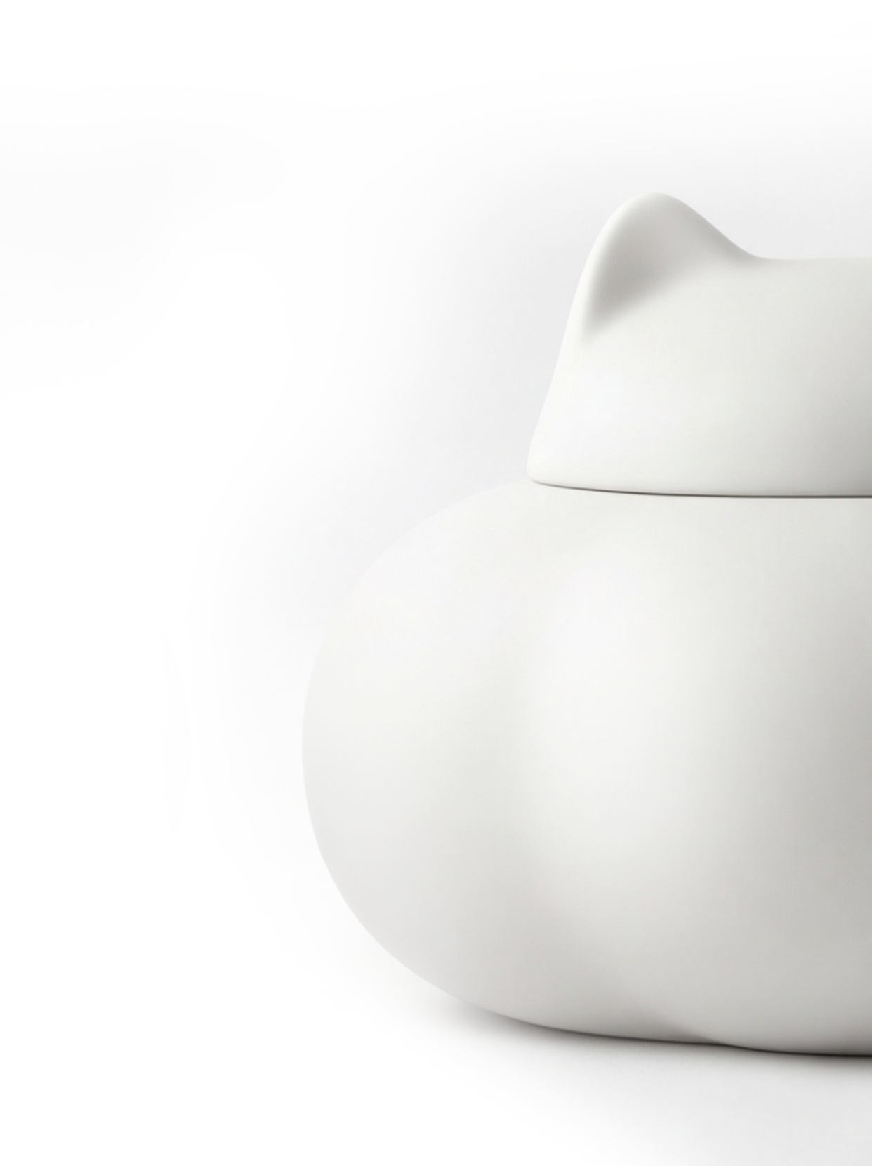Pet urn，product design，Pet funeral services，Pet Souvenirs，Wild Hole，