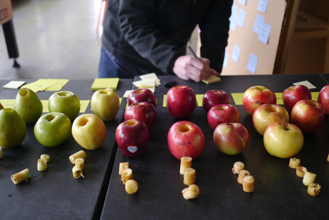 product design，originality，Apple corer，tool，