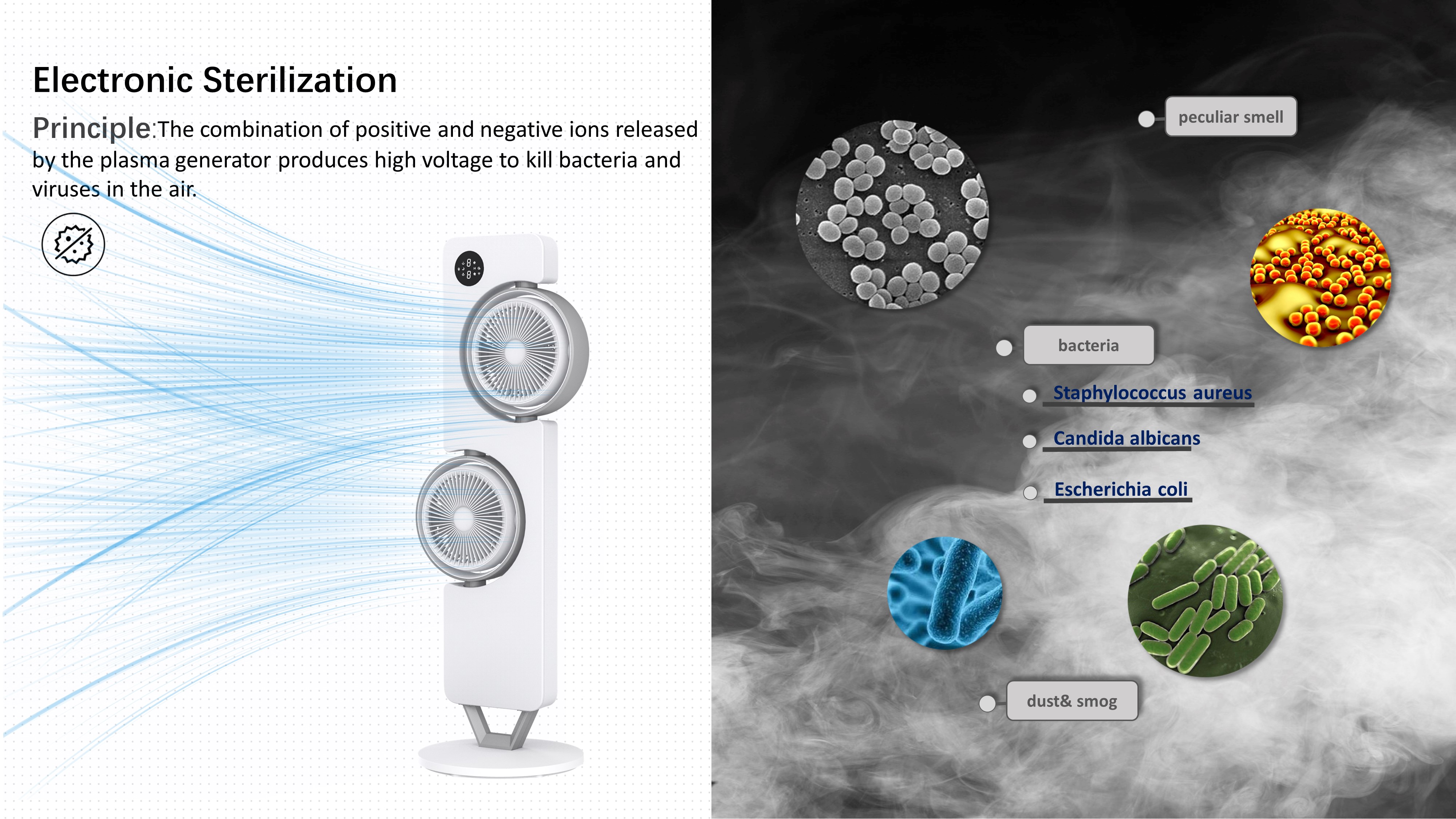 Dual-head circulating fan，