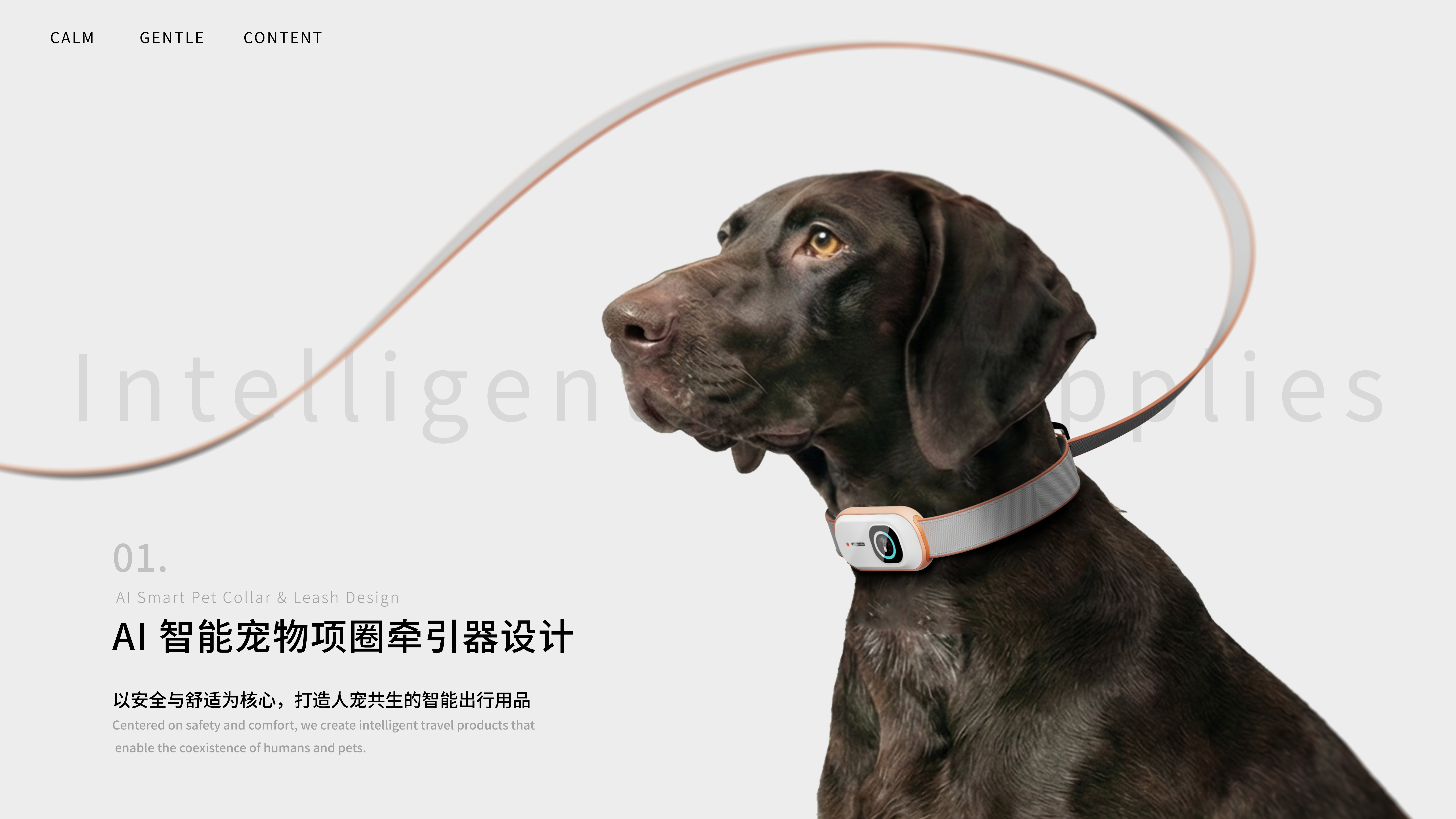 product design，Product appearance design，Pet collar，Pet tractor，Pet Supplies & Pet，sample reels，Internship，