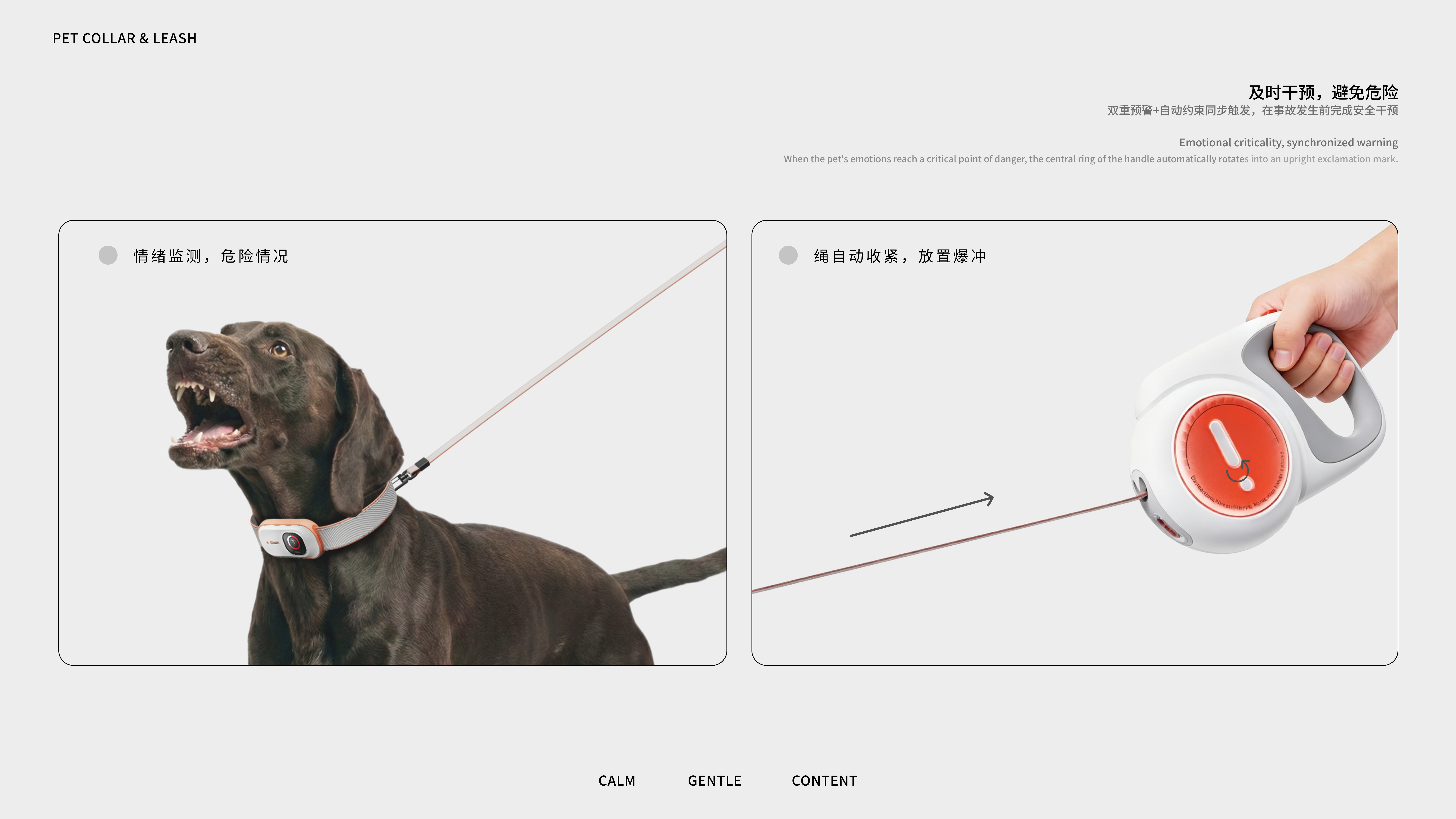 product design，Product appearance design，Pet collar，Pet tractor，Pet Supplies & Pet，sample reels，Internship，