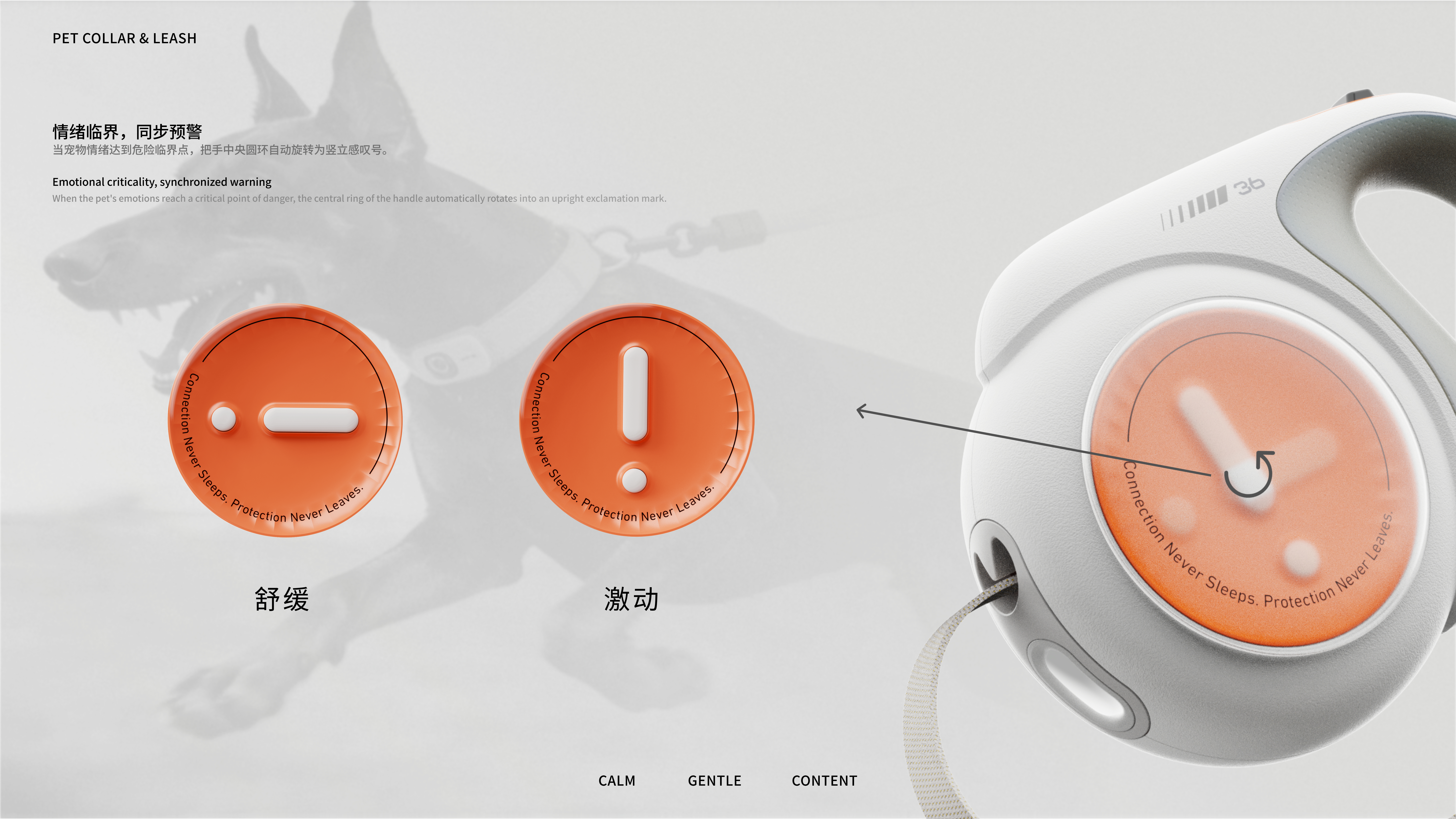 product design，Product appearance design，Pet collar，Pet tractor，Pet Supplies & Pet，sample reels，Internship，