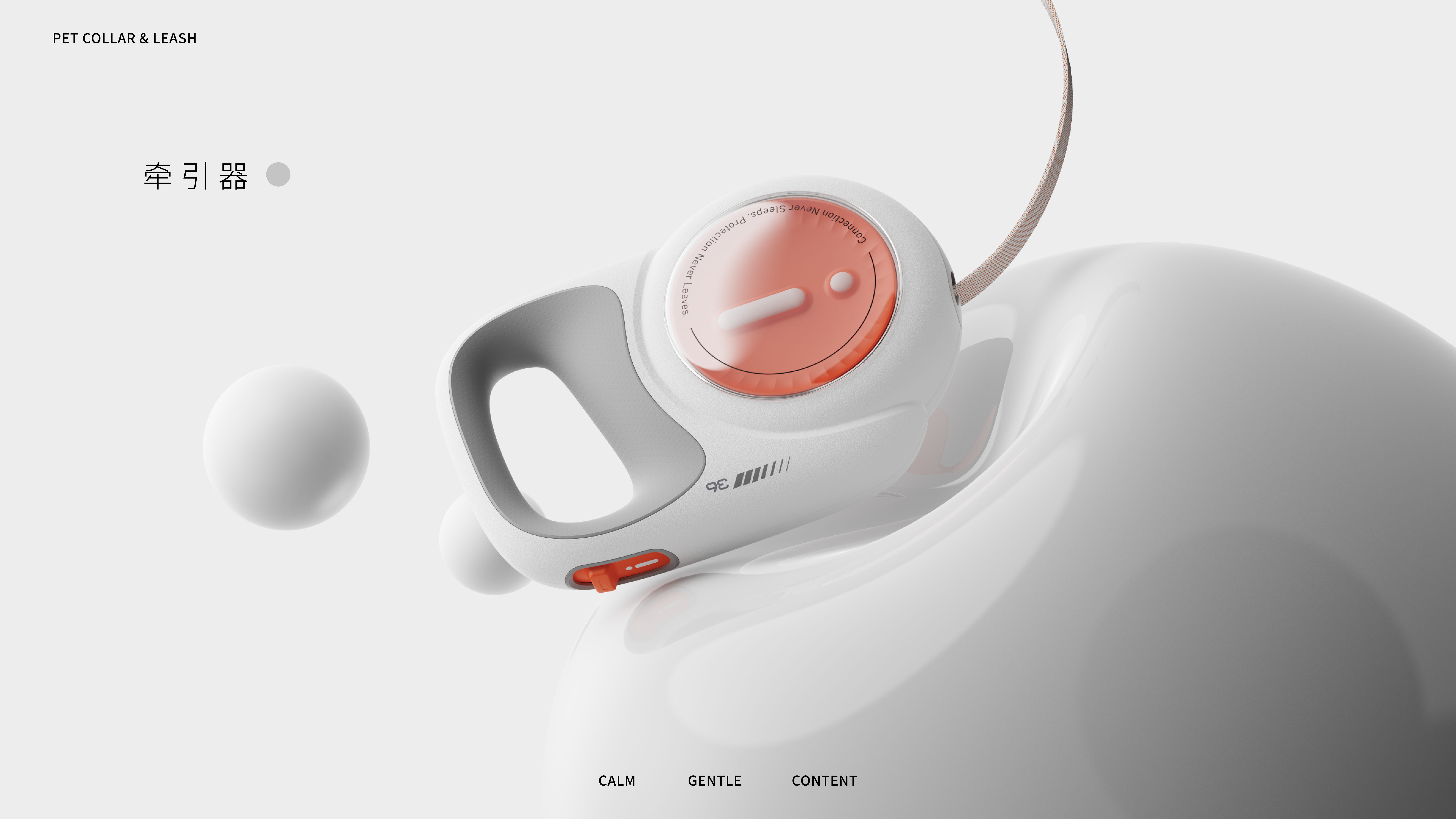 product design，Product appearance design，Pet collar，Pet tractor，Pet Supplies & Pet，sample reels，Internship，