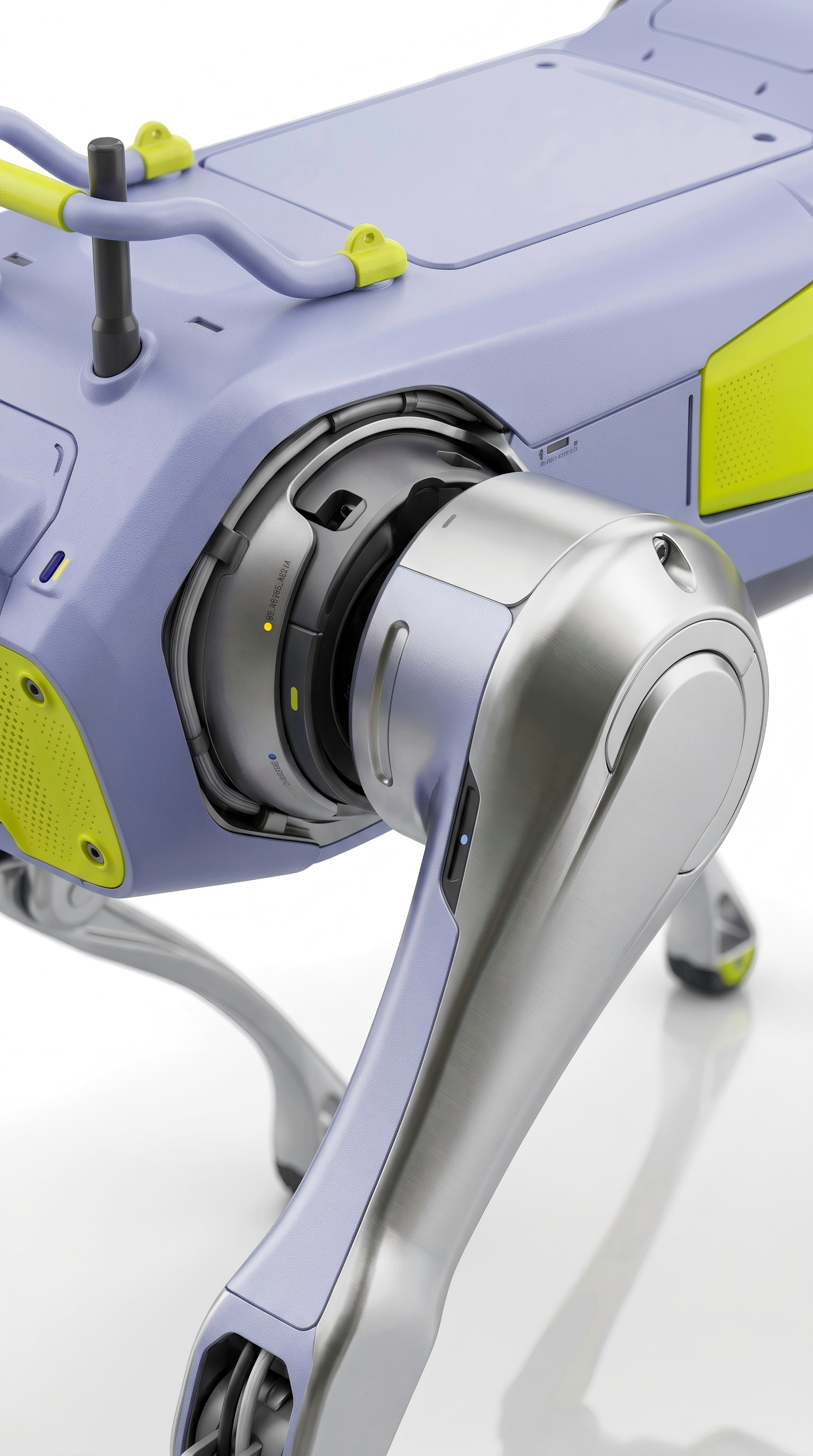 rhino，Robot dog，robot，physical intelligence，Pets，
