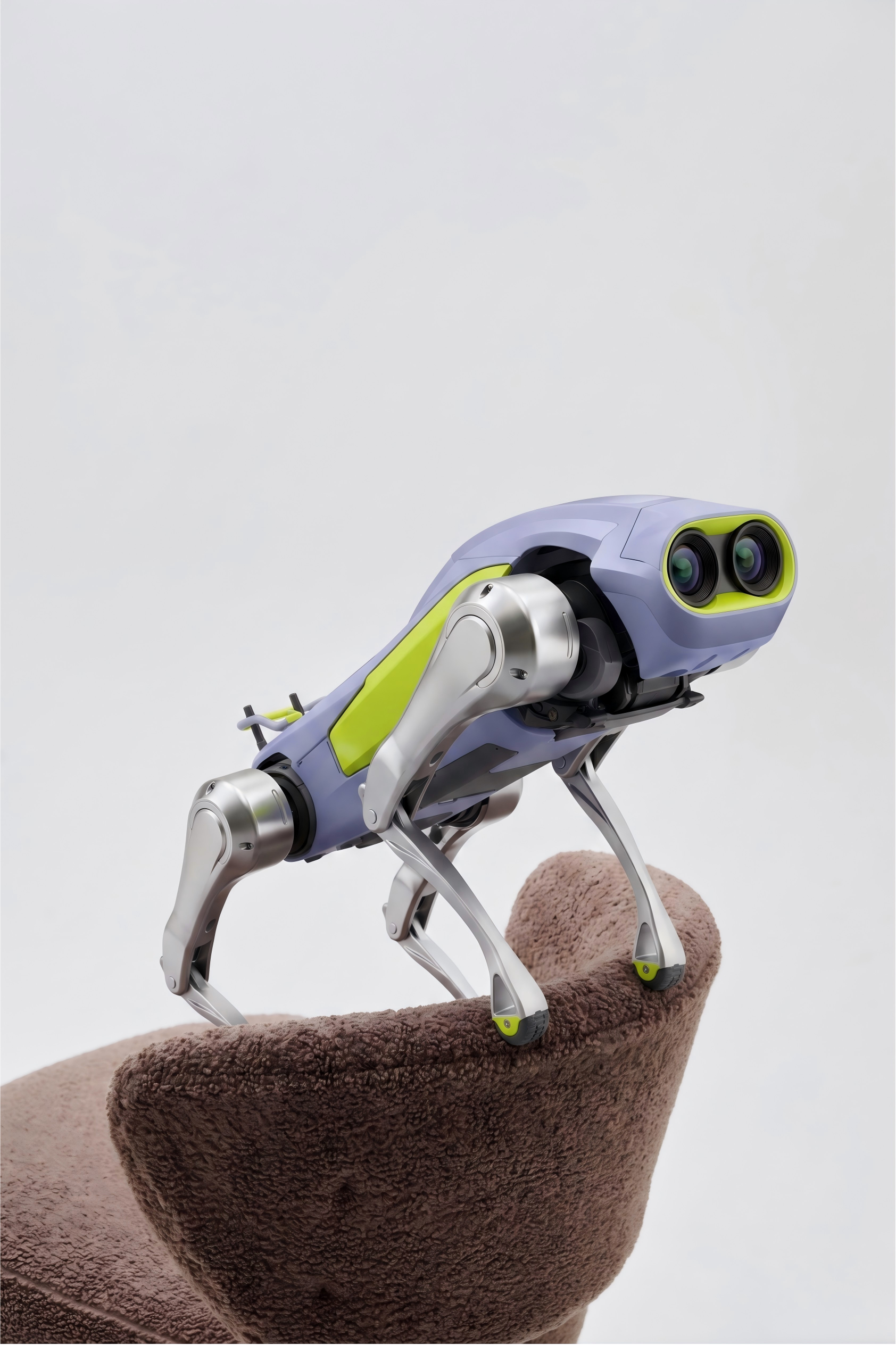 rhino，Robot dog，robot，physical intelligence，Pets，