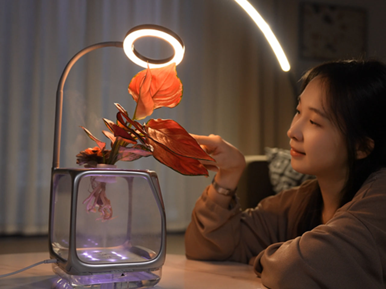 Izestee，Plant Equipment，multi-function，lighting，Humidifier，
