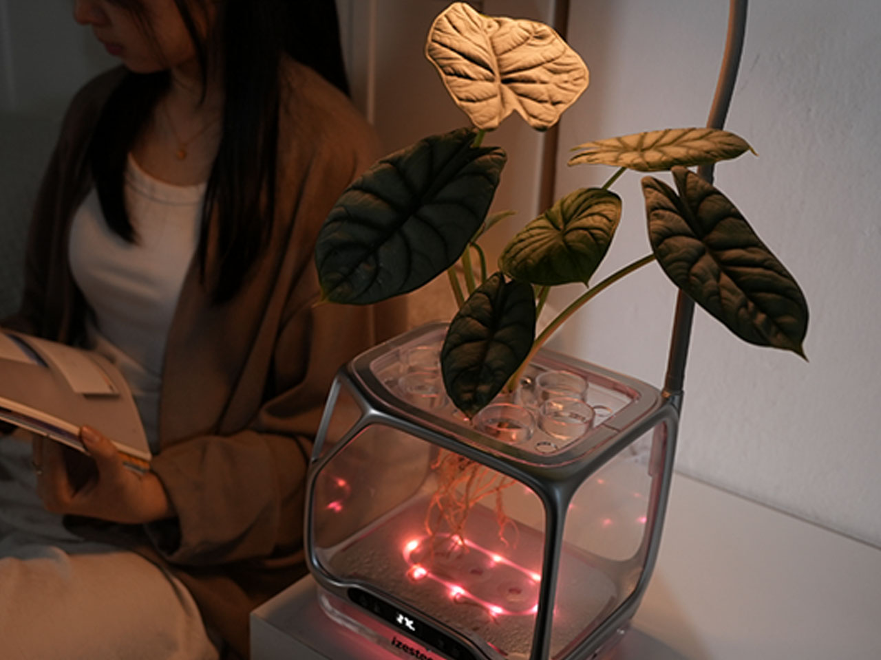 Izestee，Plant Equipment，multi-function，lighting，Humidifier，