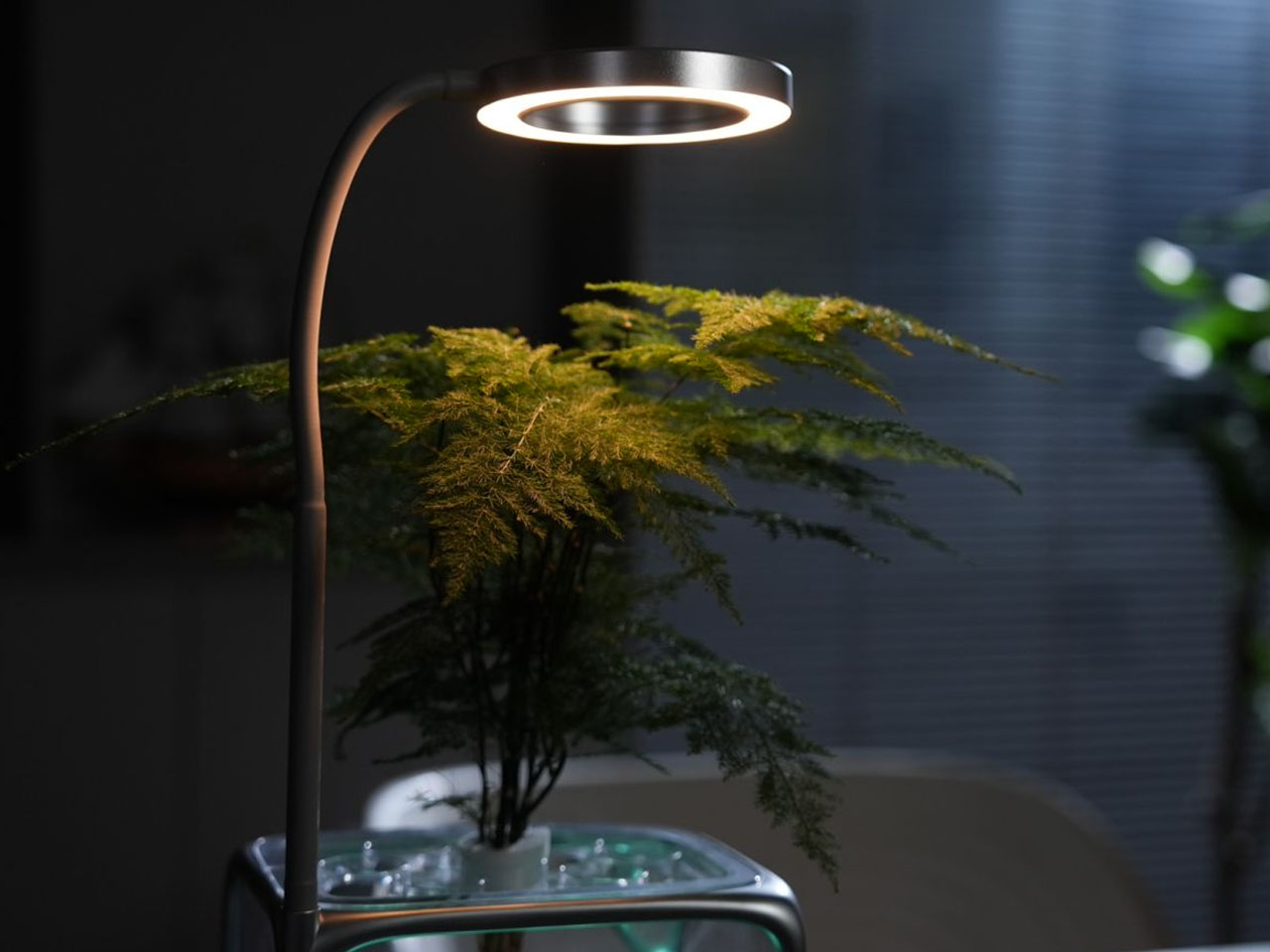 Izestee，Plant Equipment，multi-function，lighting，Humidifier，