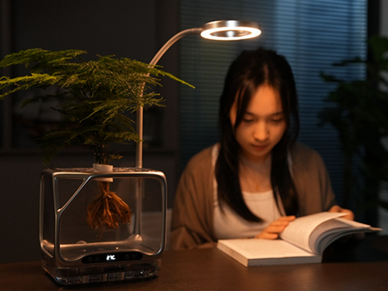 Izestee，Plant Equipment，multi-function，lighting，Humidifier，