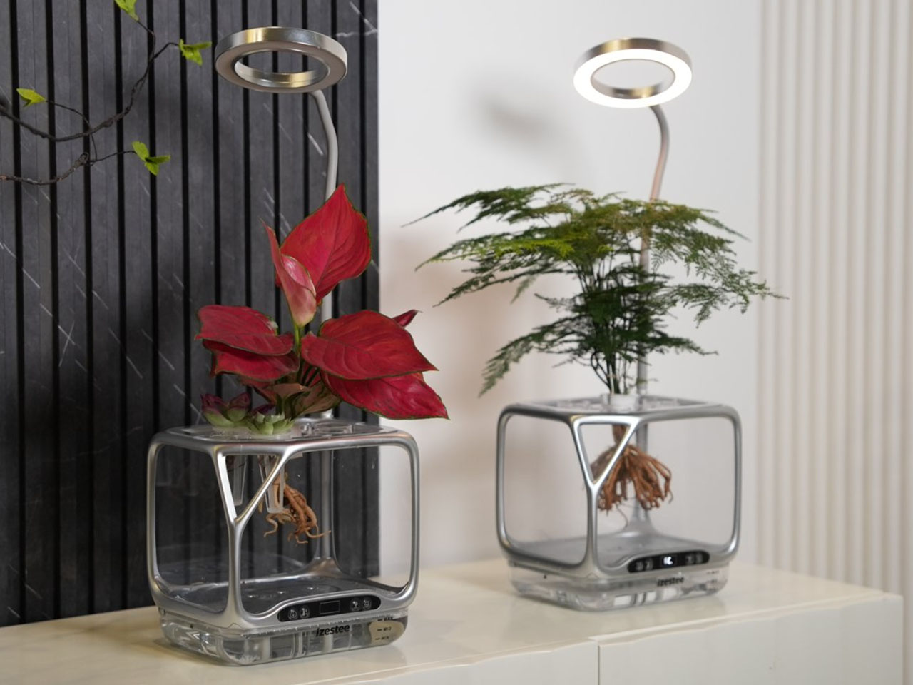 Izestee，Plant Equipment，multi-function，lighting，Humidifier，