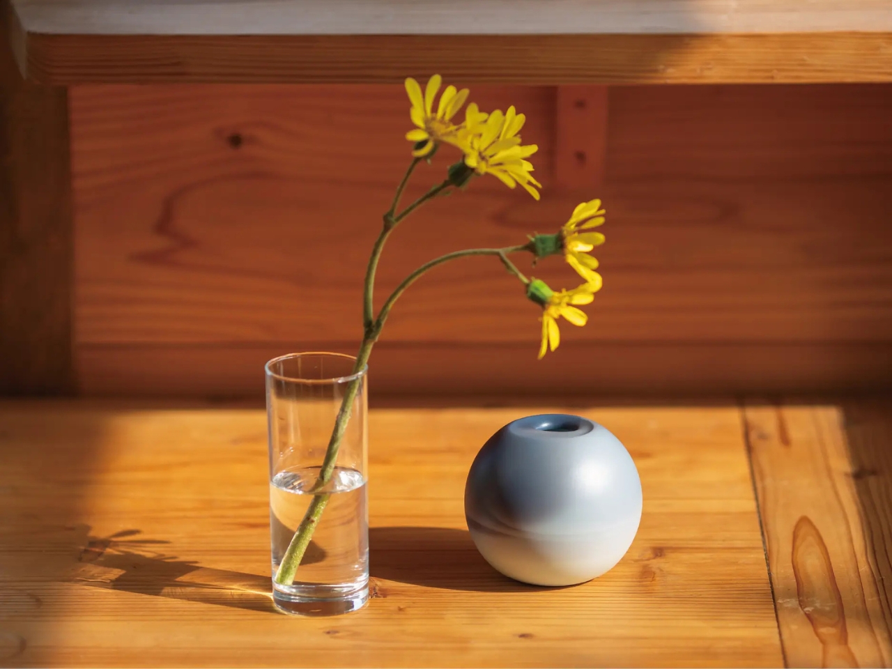 TimeVase，container，vase，Home furnishings，