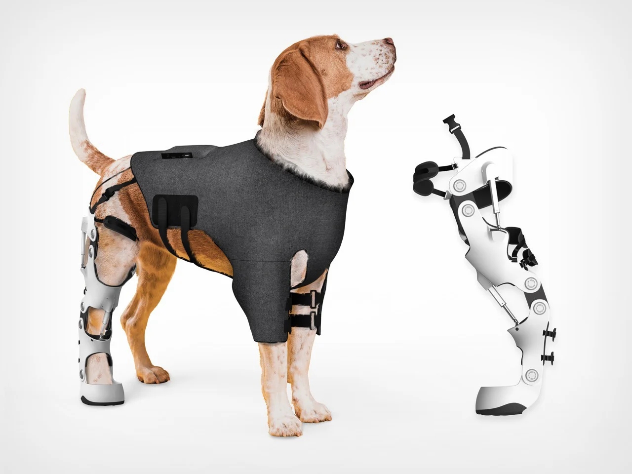 intelligent exoskeleton，Pet Supplies & Pet，Pet Rehabilitation Tools，Intelligent products，