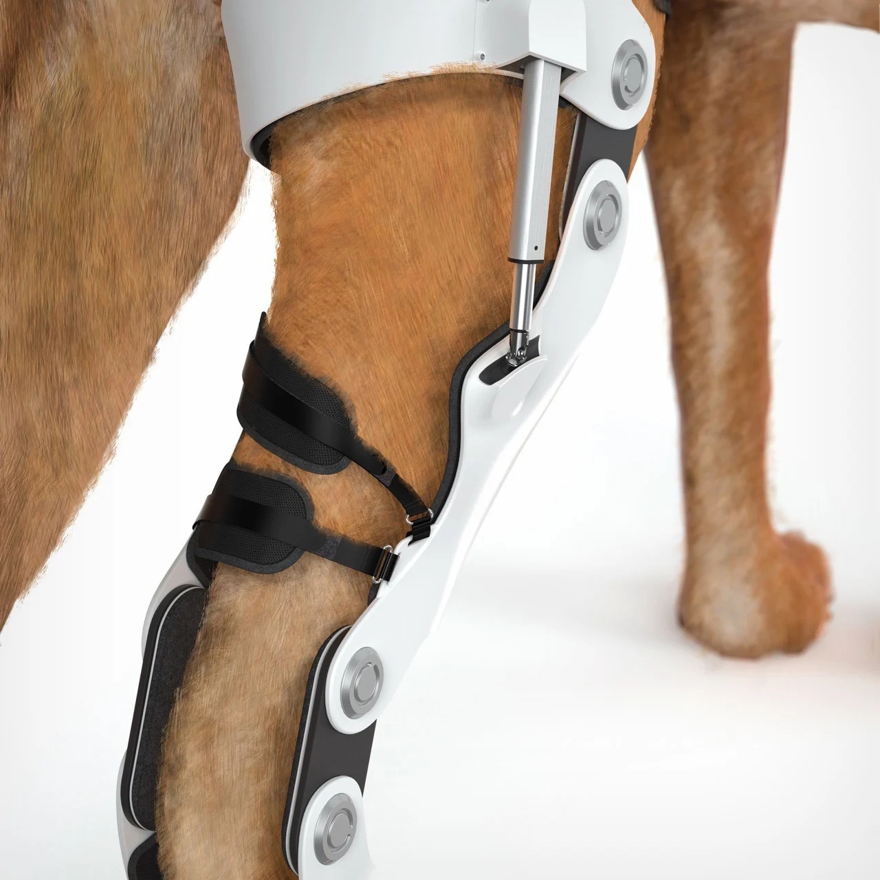 intelligent exoskeleton，Pet Supplies & Pet，Pet Rehabilitation Tools，Intelligent products，