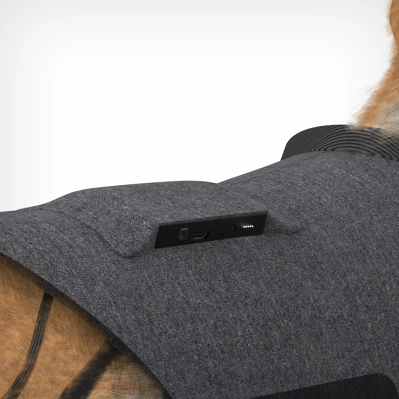 intelligent exoskeleton，Pet Supplies & Pet，Pet Rehabilitation Tools，Intelligent products，